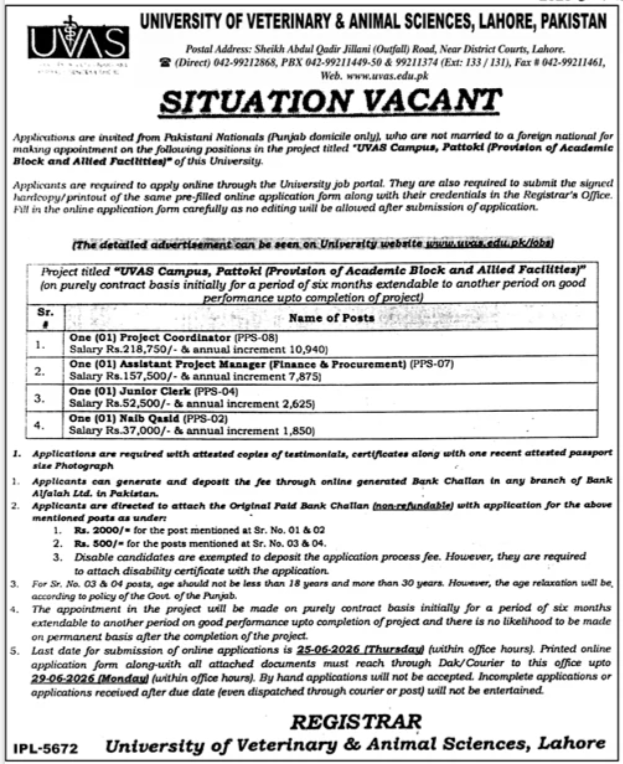 Latest UVAS Jobs Apply for Stunning Education Posts