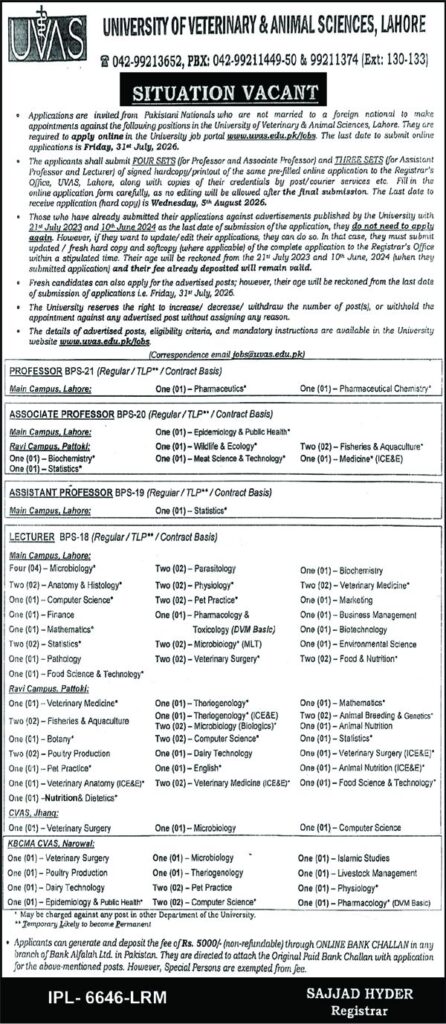 University Education Jobs Exclusive Posts Open