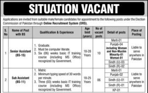 Illustration of federal government office staff, representing ECP jobs Islamabad 2026