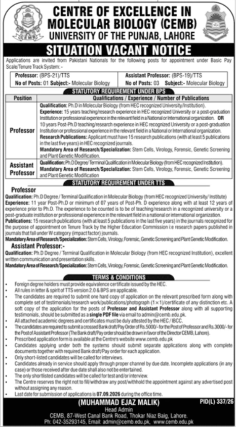 University of the Punjab Teaching Jobs 2026
