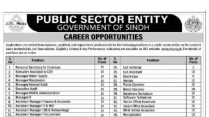 Illustration of water utility engineers and technicians, representing Public Sector Entity jobs Sukkur 2026