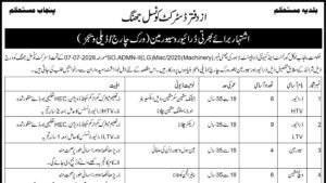 District Council Jhang recruitment advertisement header
