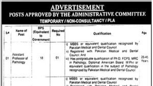 Illustration of hospital pathology and IT staff, representing Rawalpindi Institute of Cardiology jobs 2026