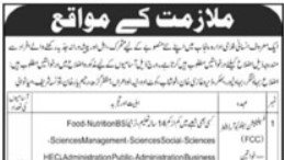 Welfare organization Islamabad recruitment 2026 for coordinator, security and support staff posts