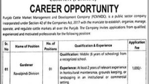 Punjab Cattle Market Management and Development Company jobs