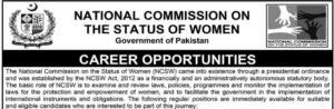 Illustration representing women's rights and public policy careers