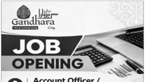 Gandhara City Islamabad Jobs 2026 Account Officer / Assistant Manager Accounts